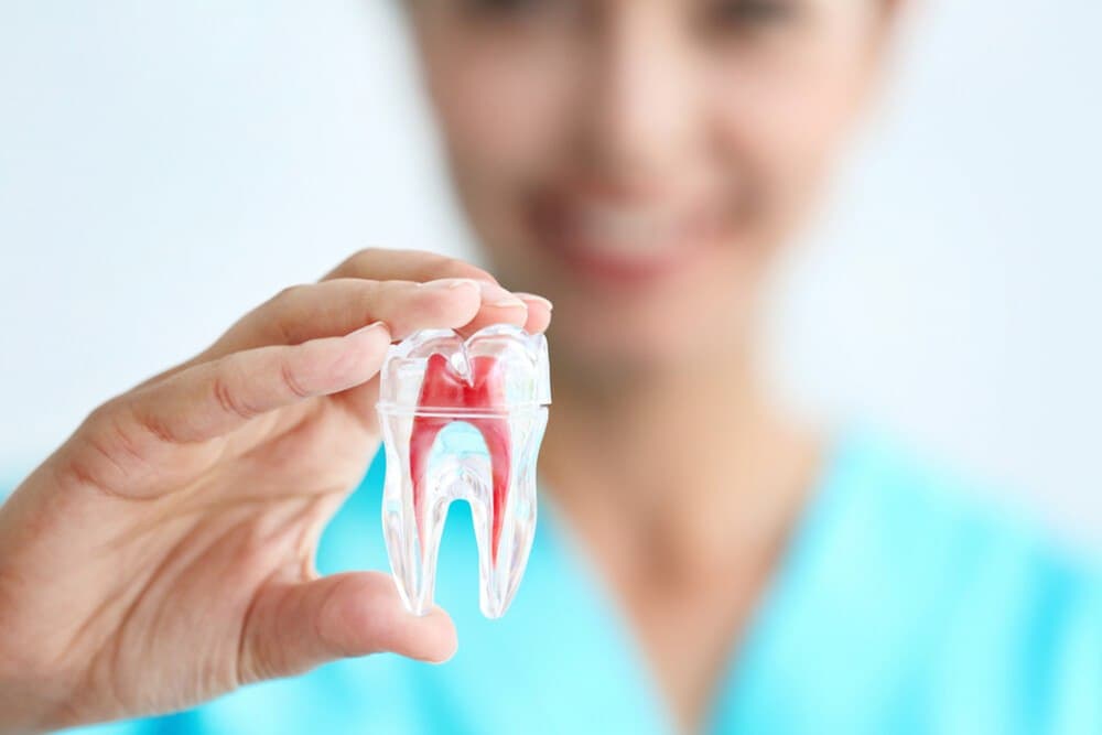 Endodontic treatment at Roomchang Dental Hospital